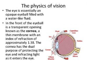 Physics of vision