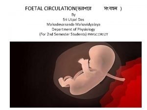 Flow chart of fetal circulation