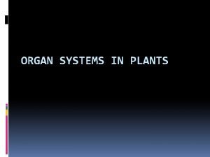 ORGAN SYSTEMS IN PLANTS Organs Working Together Organs