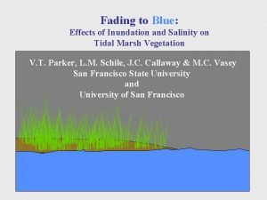 Fading to Blue Effects of Inundation and Salinity