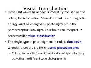 Visual Transduction Once light waves have been successfully