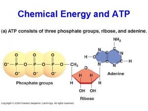 Chemical Energy and ATP Energy and ATP Energy