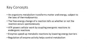 Enzyme function in metabolism