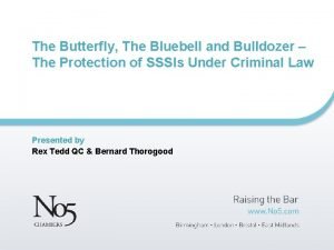 Butterfly or criminal
