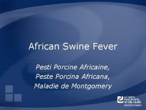 African Swine Fever Pesti Porcine Africaine Peste Porcina