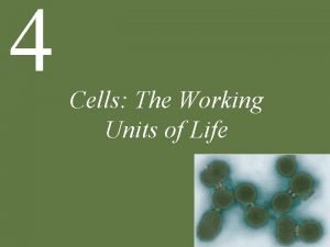 4 Cells The Working Units of Life Chapter