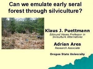 Can we emulate early seral forest through silviculture