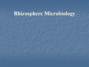 Rhizosphere Microbiology What is Rhizosphere The region of