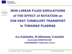 Association EURATOMCEA NONLINEAR FLUID SIMULATIONS of THE EFFECT