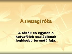 A sivatagi rka A rkk s egyben a