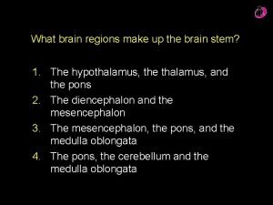 How many regions make up the brain stem