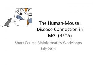 The HumanMouse Disease Connection in MGI BETA Short