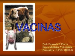 Prof Eduardo F Flores Depto Medicina Veterinria Preventiva