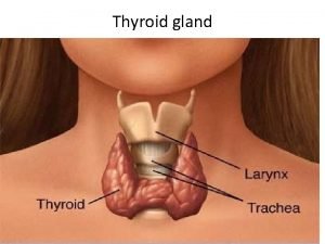 Thyroid gland Largest Endocrine organ in the body