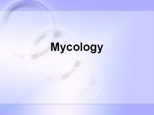 Mycology test