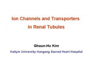 Ion Channels and Transporters in Renal Tubules GheunHo