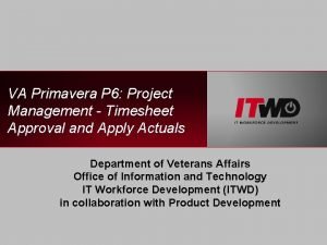 Primavera timesheets