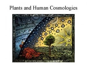 Plants and Human Cosmologies Cosmologies are branches of