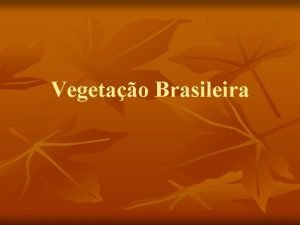 Vegetao Brasileira Caractersticas n Riqueza vegetal n n