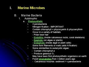 I Marine Microbes B Marine Bacteria 1 Autotrophic