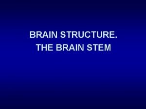 Medulla oblongata Medulla oblongata