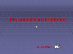 Els animals invertebrats Teresa Prez Animals invertebrats sn