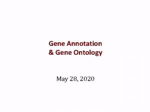 Gene Annotation Gene Ontology May 28 2020 Gene