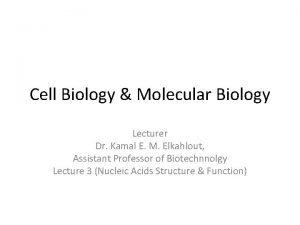 Cell Biology Molecular Biology Lecturer Dr Kamal E