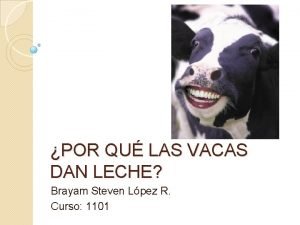 POR QU LAS VACAS DAN LECHE Brayam Steven