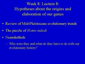 Homo erectus Homo erectus