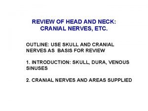 Cranial fossa nerves Cranial fossa nerves