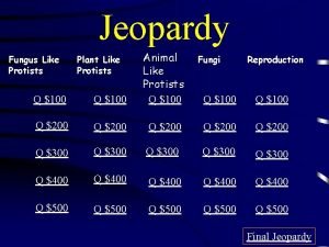 Fungus jeopardy answer key