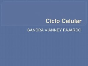 Ciclo Celular SANDRA VIANNEY FAJARDO Concepto El ciclo