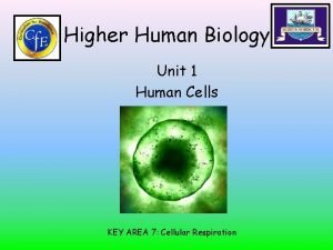 Higher human biology cellular respiration