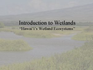 Introduction to Wetlands Hawaiis Wetland Ecosystems Topics Well