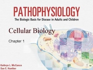 Cellular Biology Chapter 1 1 Prokaryotes vs Eukaryotes