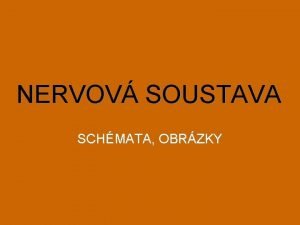 NERVOV SOUSTAVA SCHMATA OBRZKY 1 Jak chuov poitek