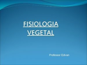 FISIOLOGIA VEGETAL Professor Edivan Hormnios Vegetais a Auxinas