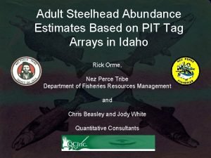 Adult Steelhead Abundance Estimates Based on PIT Tag
