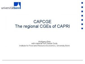 CAPCGE The regional CGEs of CAPRI Wolfgang Britz