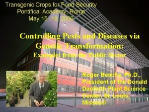 Transgenic Crops for Food Security Pontifical Academy Rome