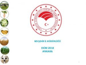 NEVEHR L MDRL EKM 2018 ANKARA 1 l