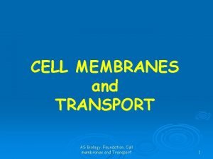 CELL MEMBRANES and TRANSPORT AS Biology Foundation Cell