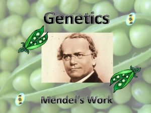 Genetics Mendels Work Mendels Work 1 Gregor Mendel