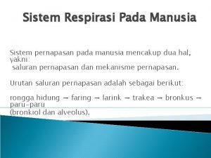 Sistem Respirasi Pada Manusia Sistem pernapasan pada manusia