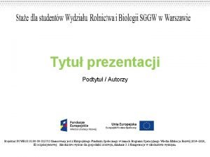 Tytu prezentacji Podtytu Autorzy Projekt nr POWR 03