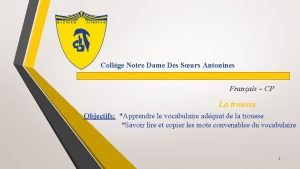 College notre dame des soeurs antonines