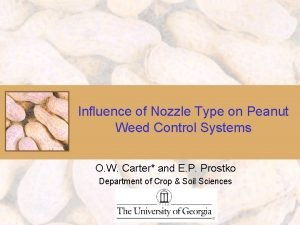 Influence of Nozzle Type on Peanut Weed Control