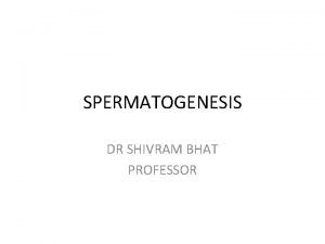 SPERMATOGENESIS DR SHIVRAM BHAT PROFESSOR LEARNING OBJECTIVES TO