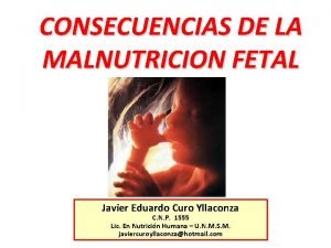 Malnutrición fetal